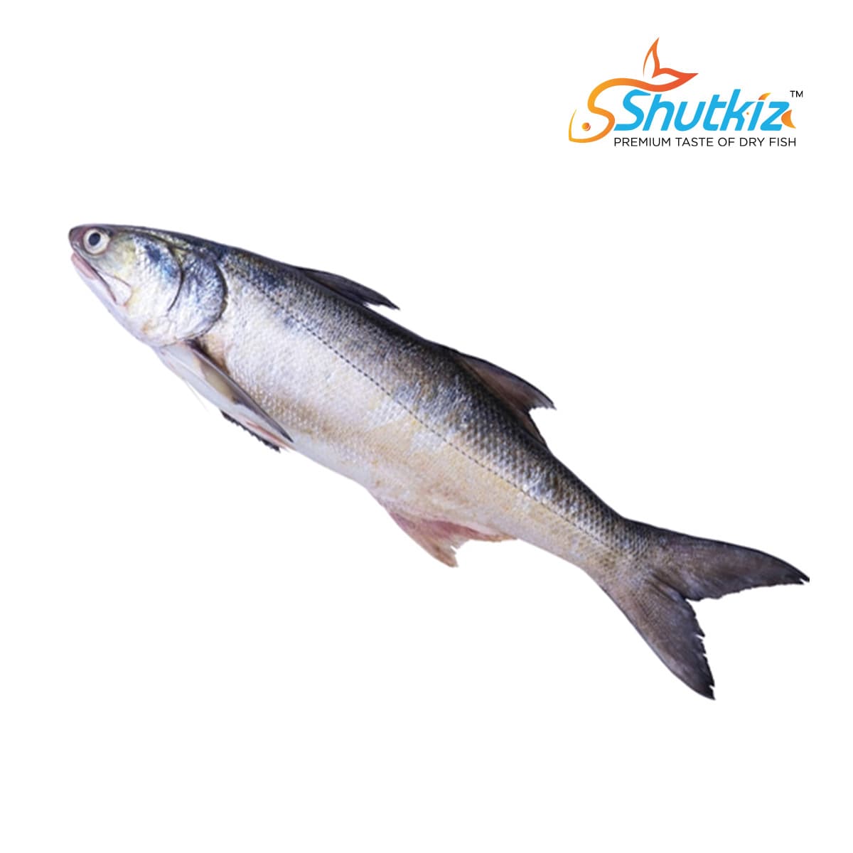 Salmon Fish (তাইল্যা মাছ)