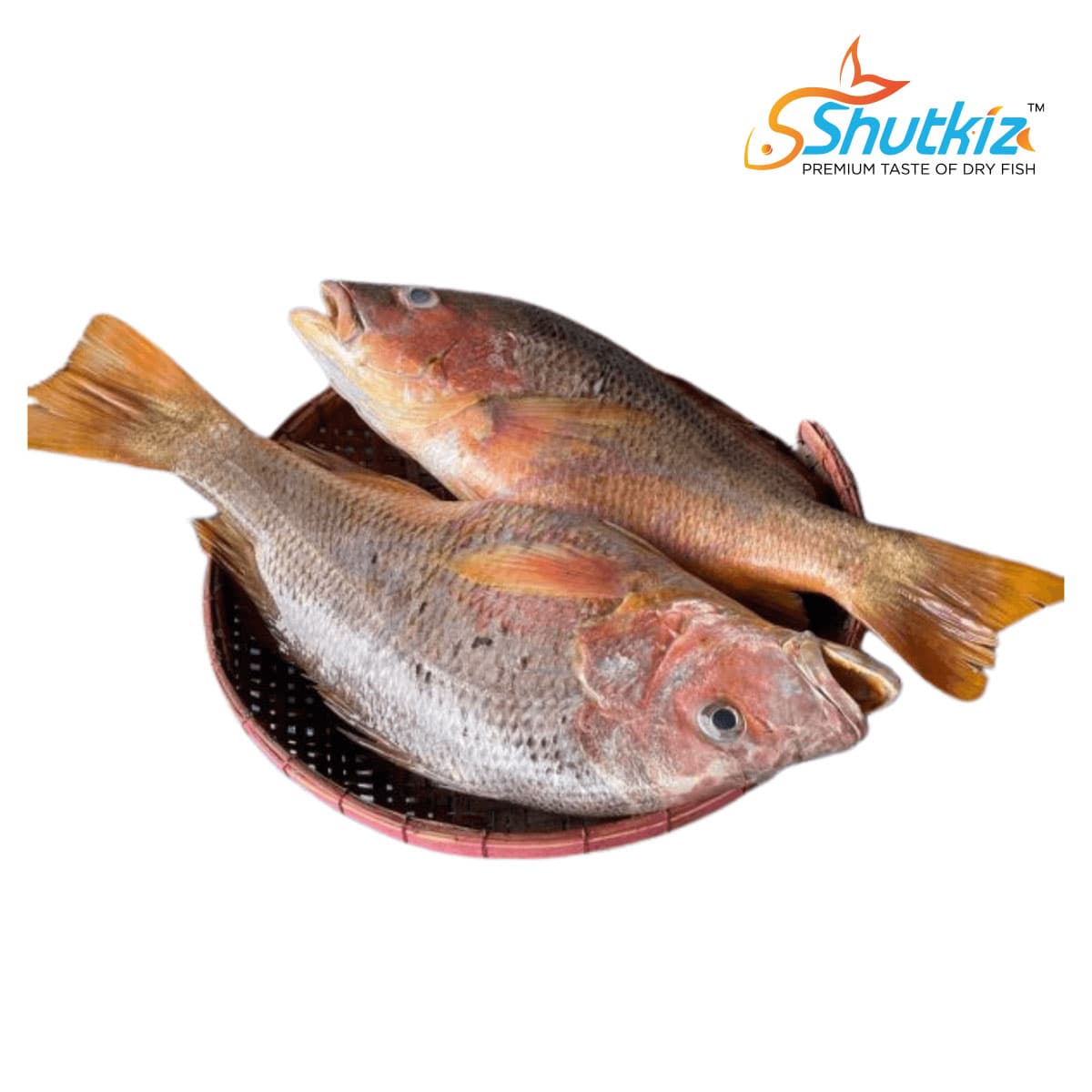 Red Snapper Fish (লাল কোরাল মাছ)